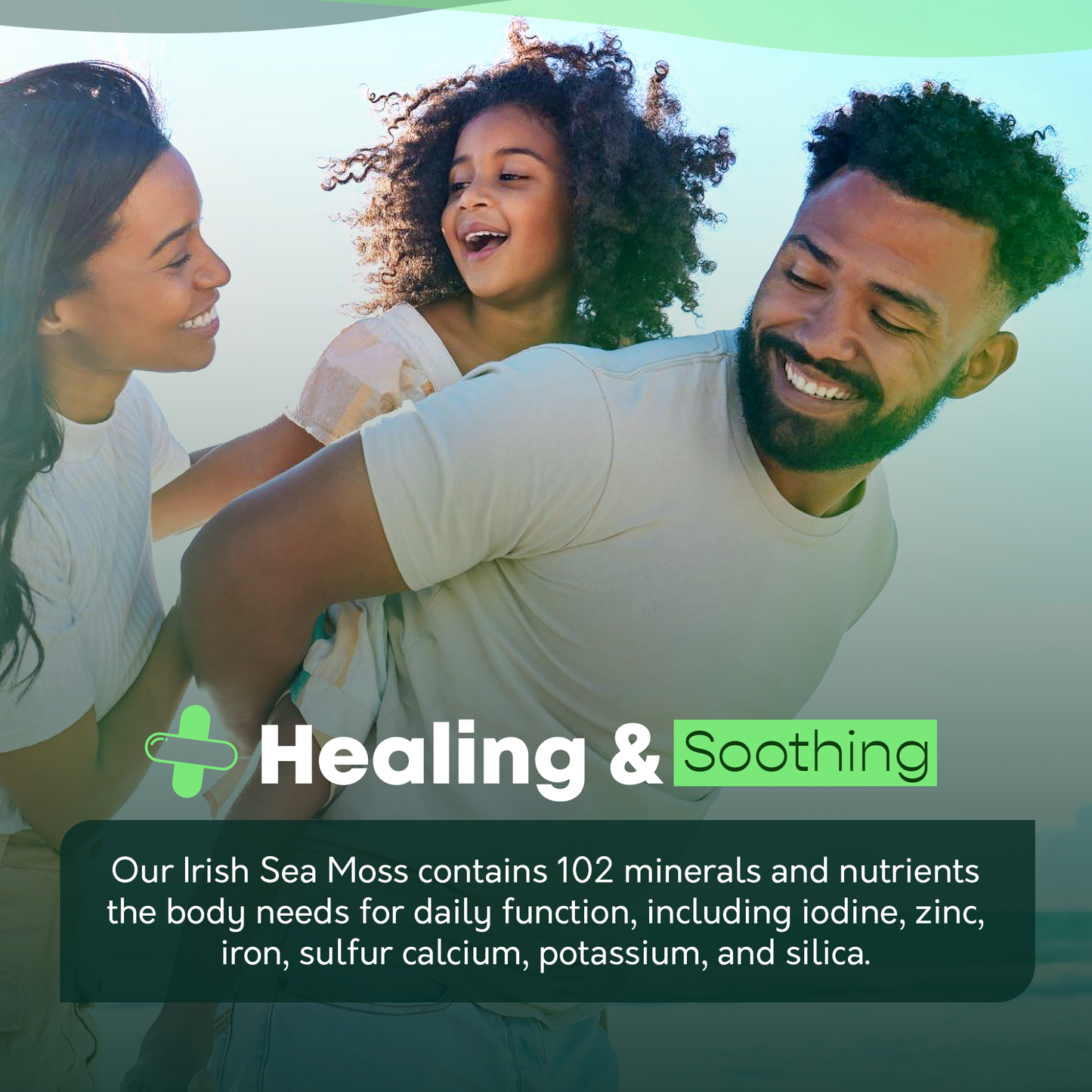 SEA MOSS π±π§