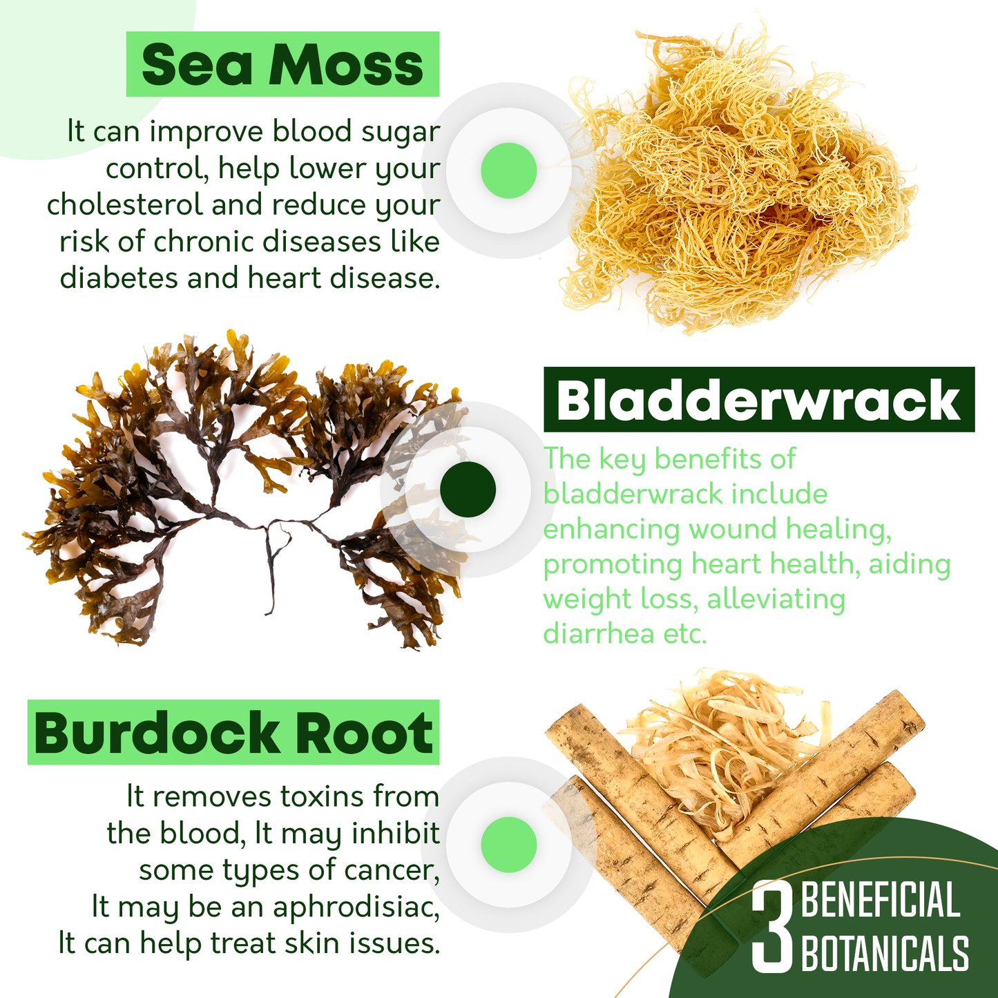 SEA MOSS π±π§