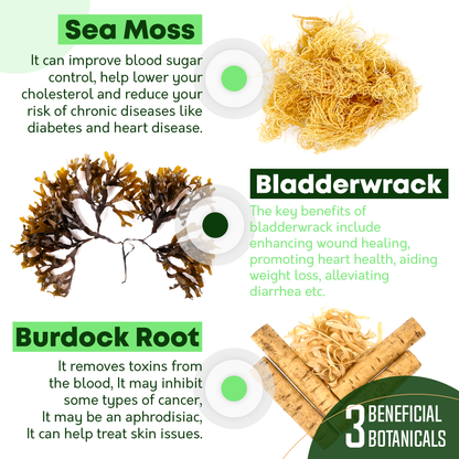 SEA MOSS 🌱💧