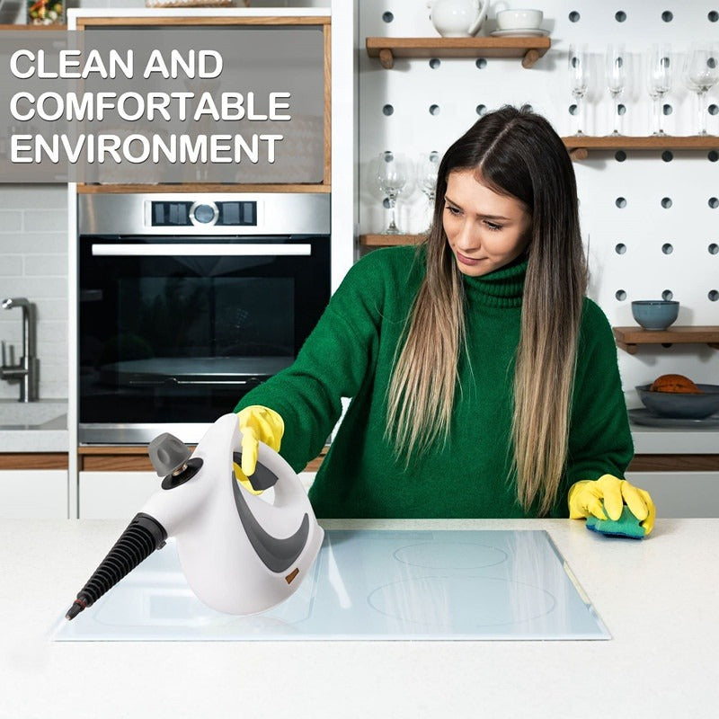 Steam Disinfection Cleaner