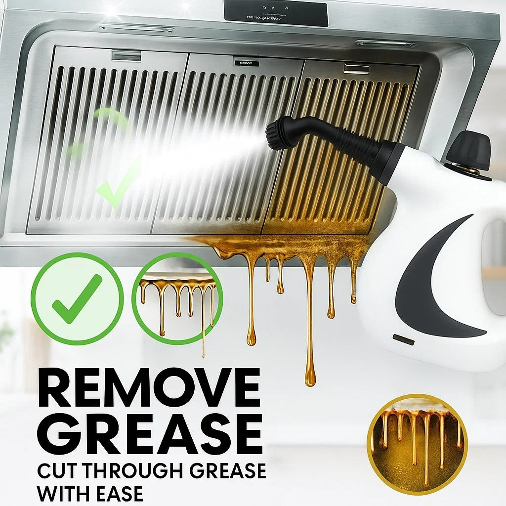 Steam Disinfection Cleaner