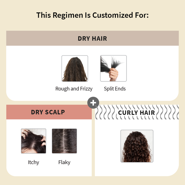 Customized Hair Care Regimen For Dry Hair | Dry Scalp & Curly Hair